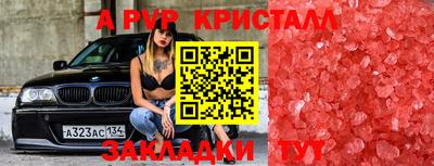 дмт Камень-на-Оби