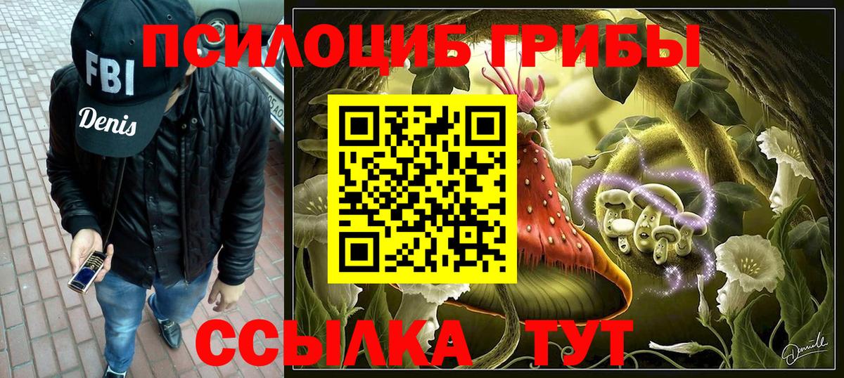 Галлюциногенные грибы Psilocybe Курчатов